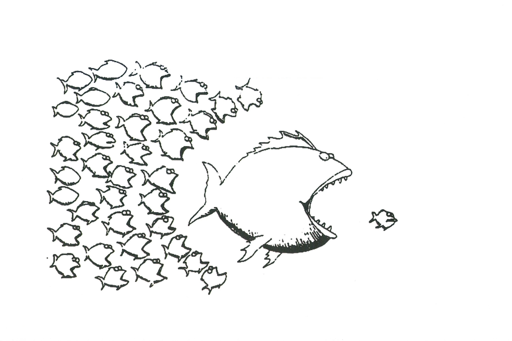 fische